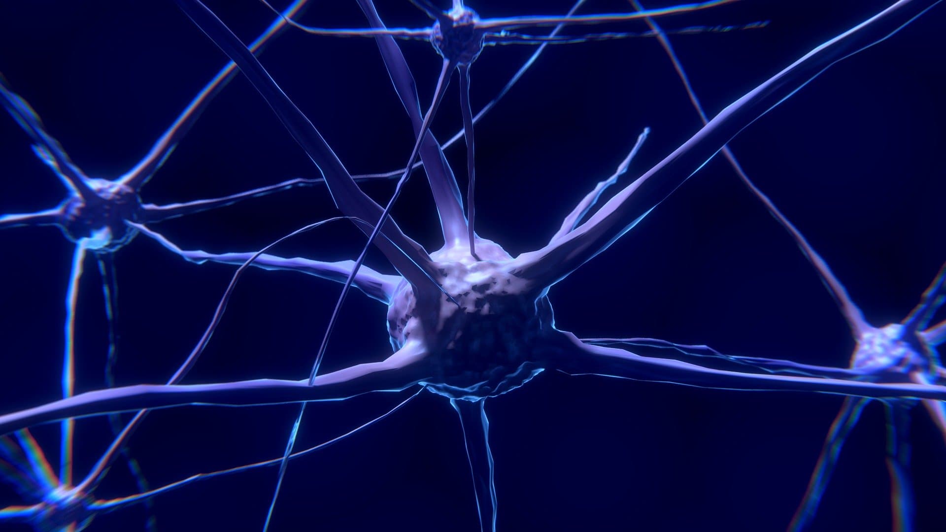 Modelo da Mente: Como a mente humana funciona