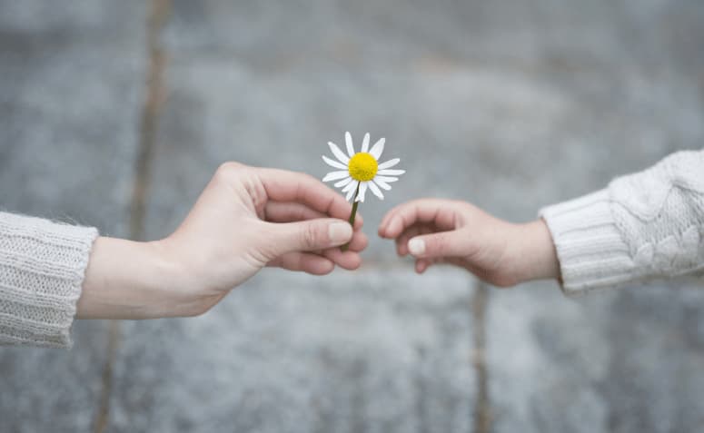 Laços emocionais: a importância da responsabilidade afetiva