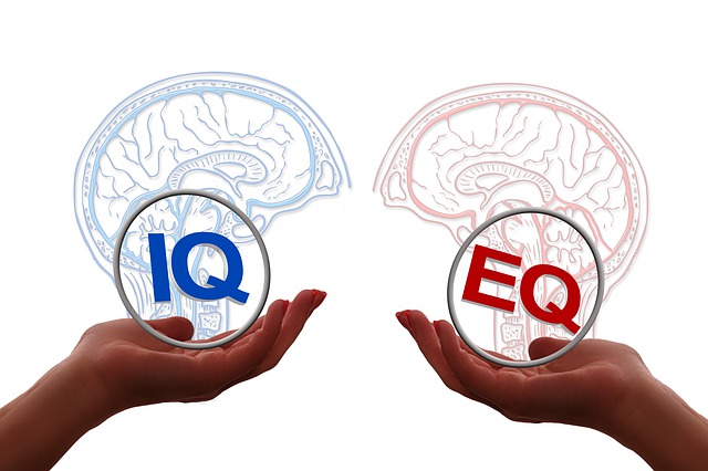 Inteligência Emocional